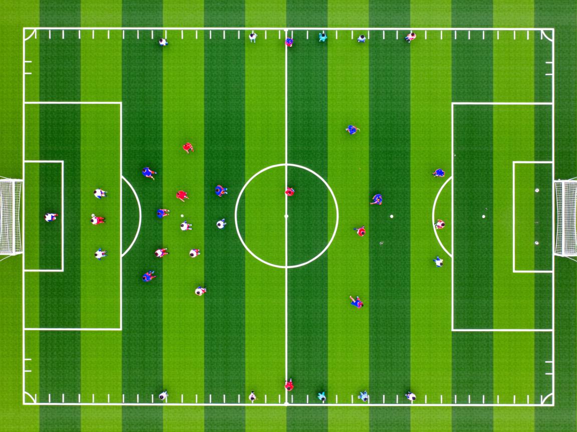 九游体育下载-体育志愿者表彰大会举行 讲述幕后故事,体育展示志愿者 第3张