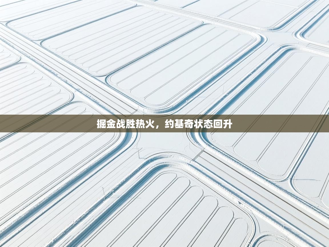 掘金战胜热火,约基奇状态回升 第2张